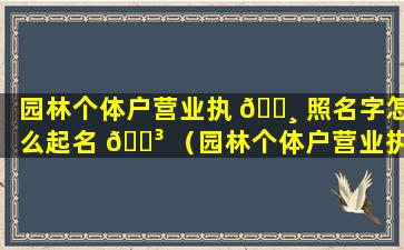 园林个体户营业执 🌸 照名字怎么起名 🌳 （园林个体户营业执照名字怎么起名好听）